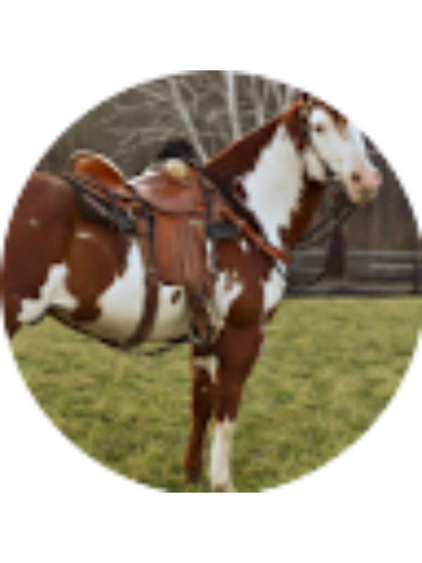 Photo of Abigail Scales