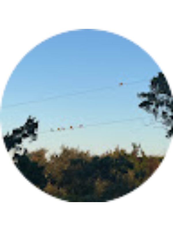 Photo of Charles Schourek (Student)