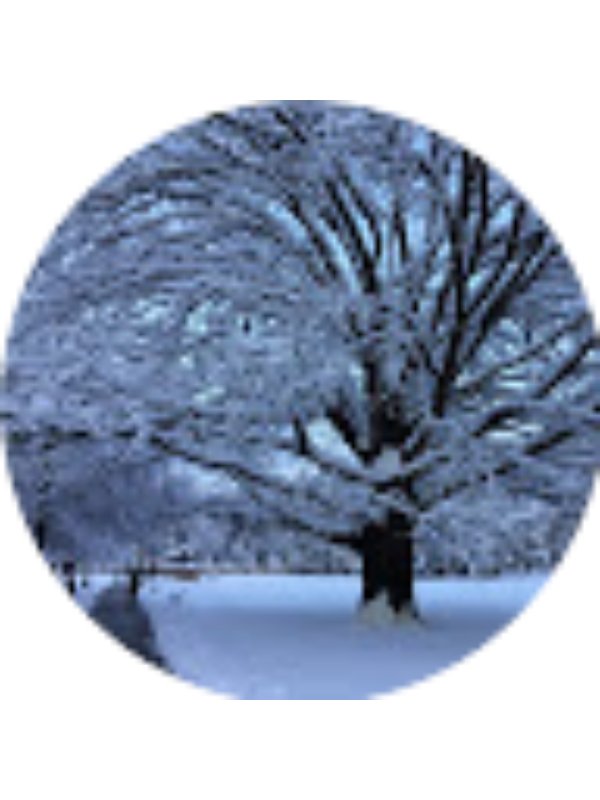 Photo of Ahmad-Ali Behroozmand