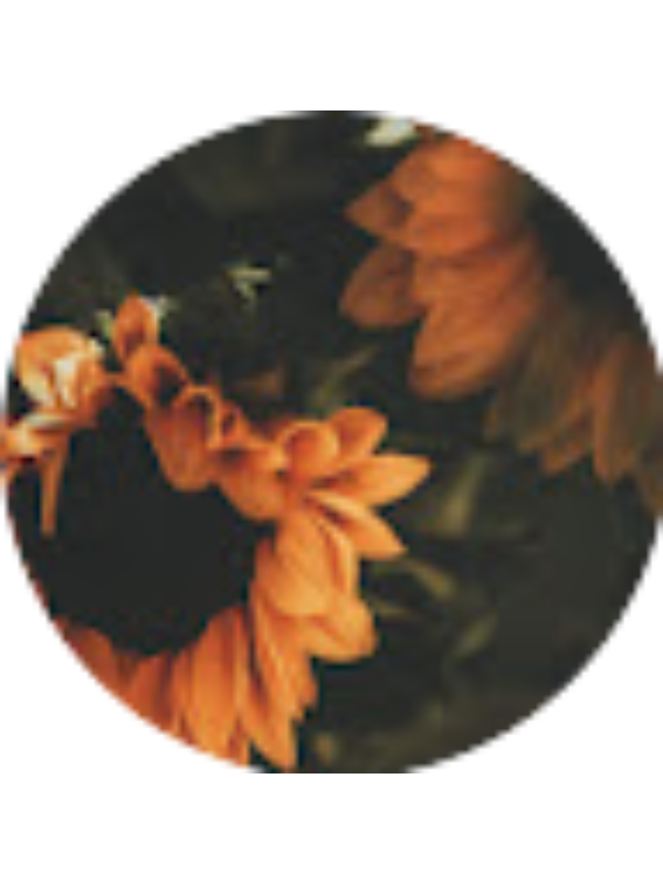 Photo of Allison Gatlin