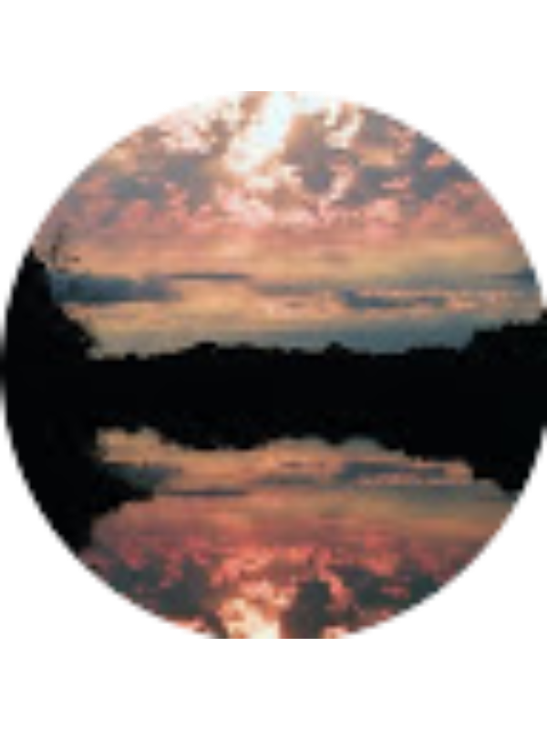 Photo of TAMARA LUMANGKUN