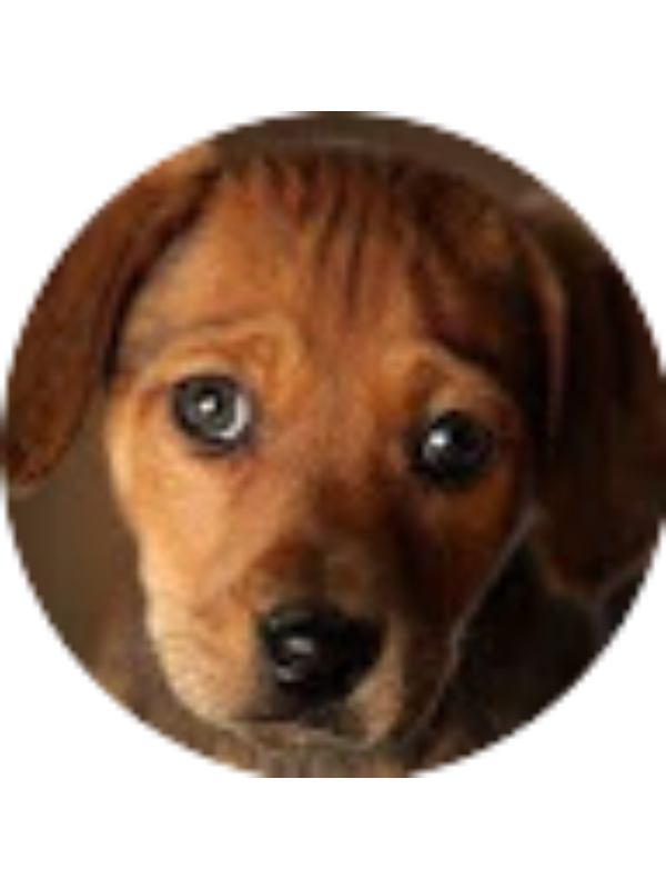 Photo of Rylee Burke