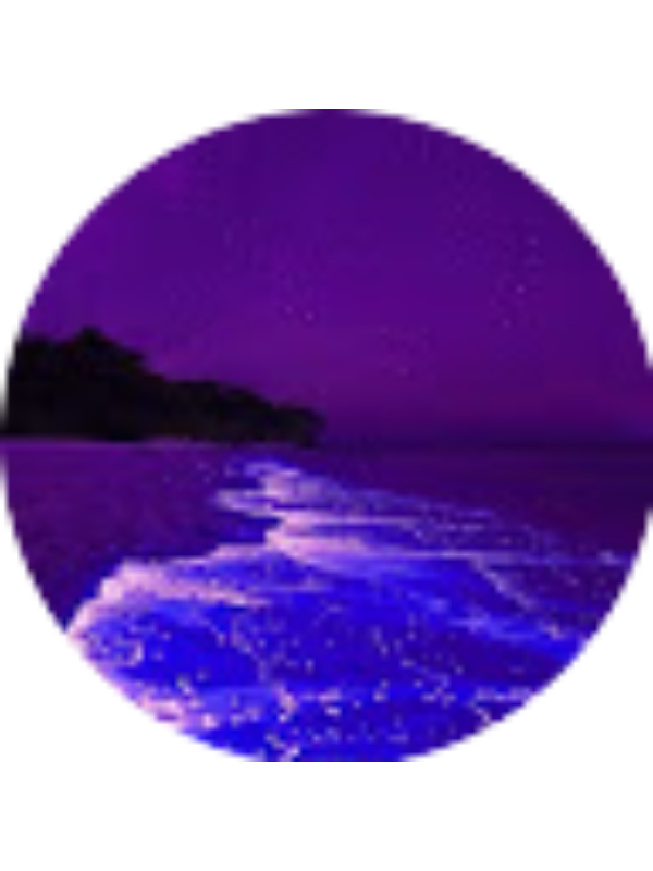 Photo of SS - 06MA 1053601 Bristol Road MS