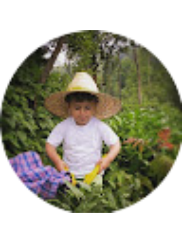 Photo of Efe Harman