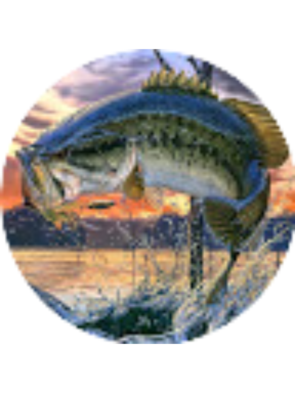 Photo of Fletcher Van Zeeland