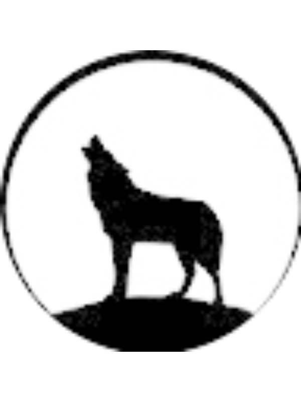 Photo of Ashley Tapia