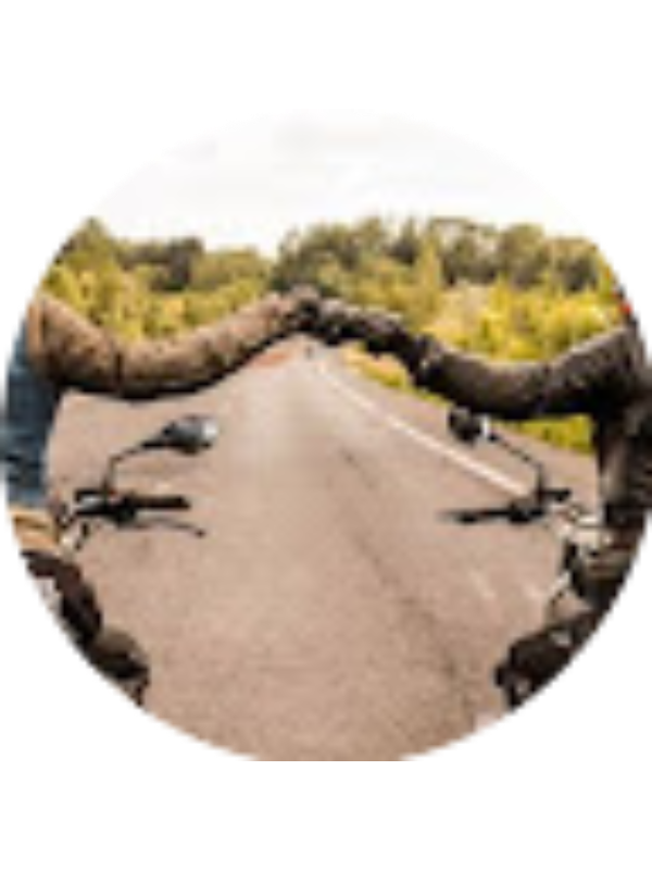 Photo of Liviu Gradinari