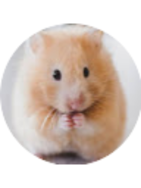 Photo of CORA BERNSTEIN