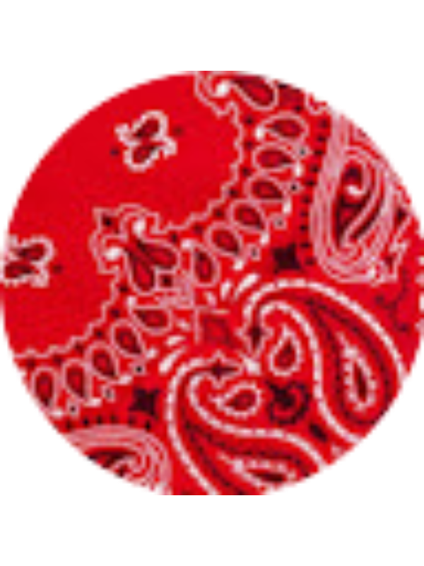 Photo of portocala62pro