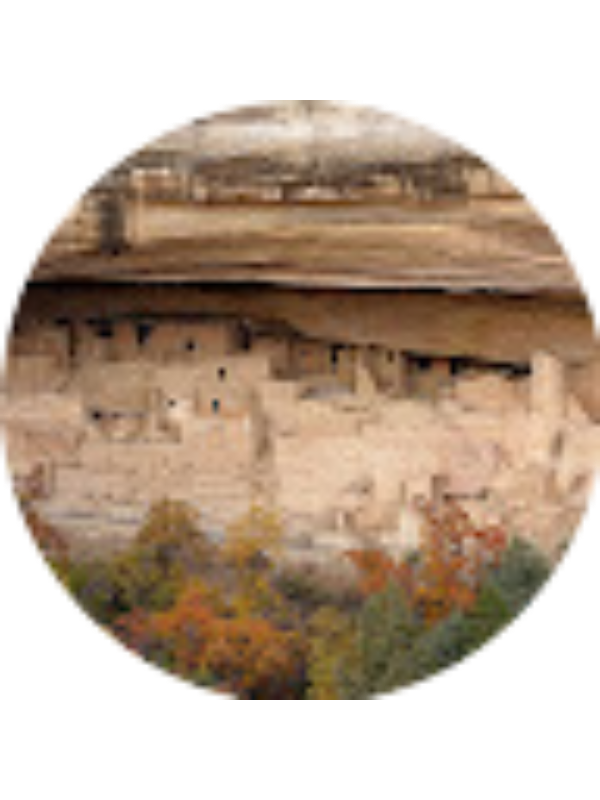 Photo of James Mottram - SLE Student