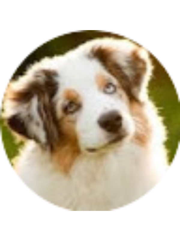 Photo of Michaela M Witt