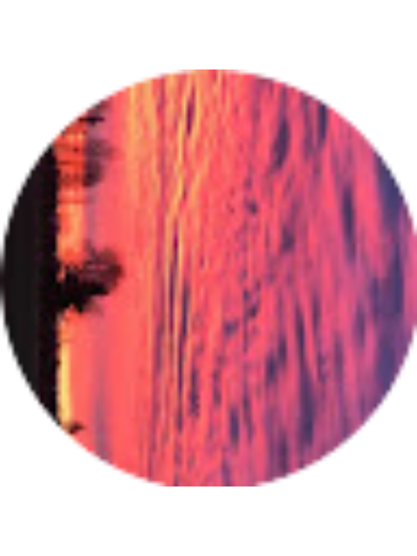 Photo of Andrea Luna-Sandoval