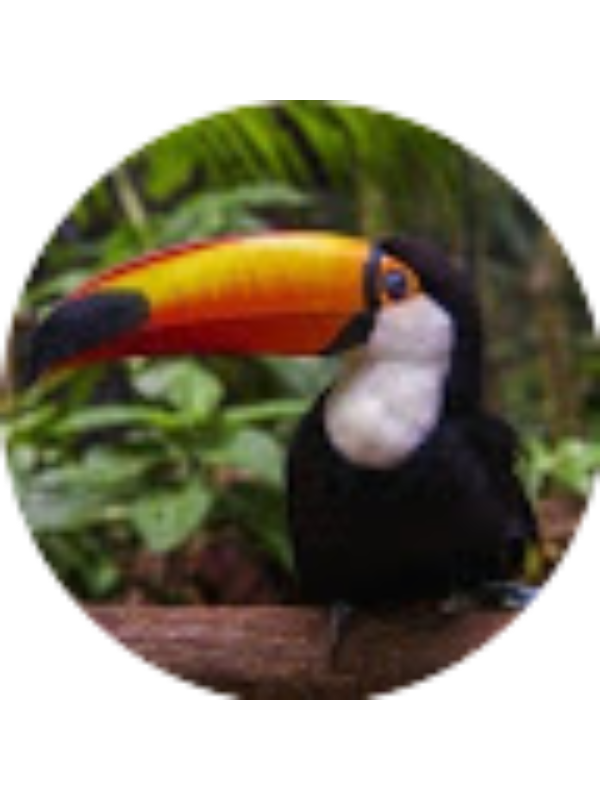 Photo of Soni Frendrik