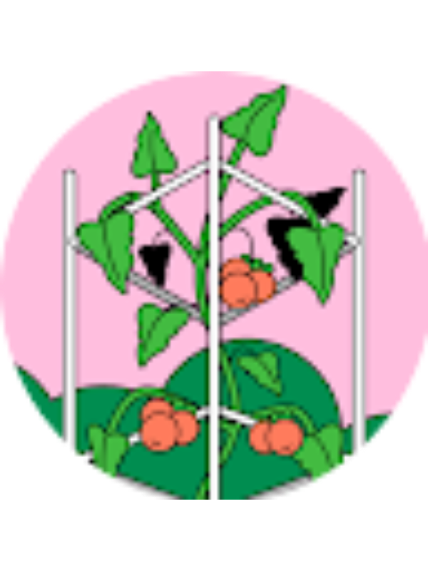 Photo of Irania Sujey Hernandez Zepeda