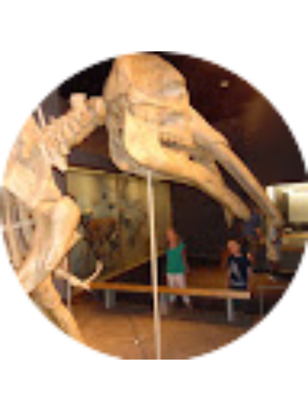 Photo of Brian Lloyd