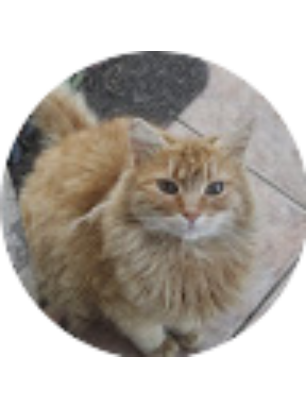 Photo of Roula Iacovou