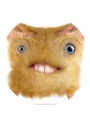 Picture of AIDAN PRASAD