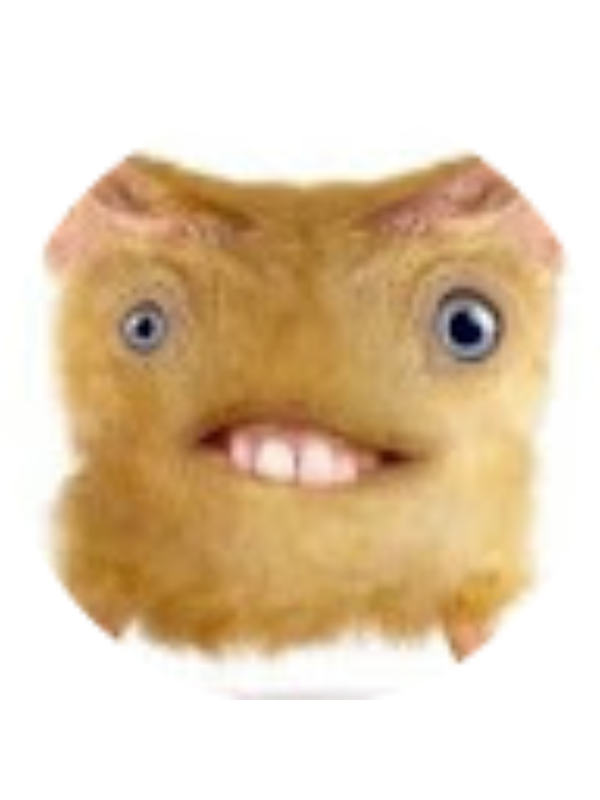 Photo of AIDAN PRASAD