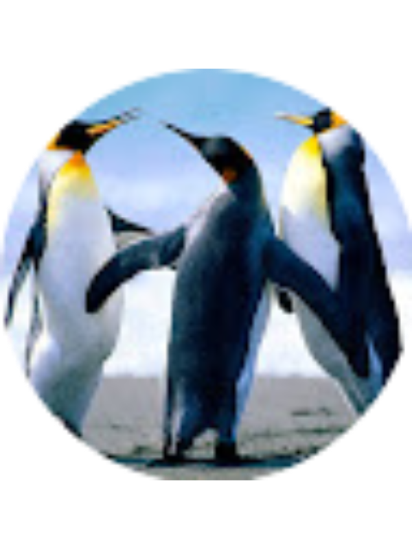 Photo of Ελευθερία Γιάγκου