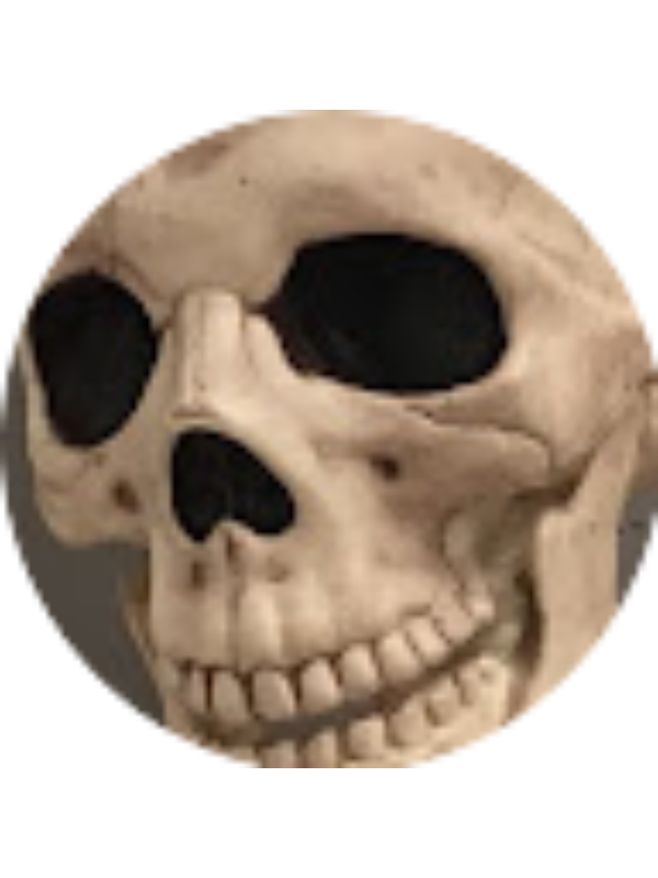 Photo of Jack Whitlow