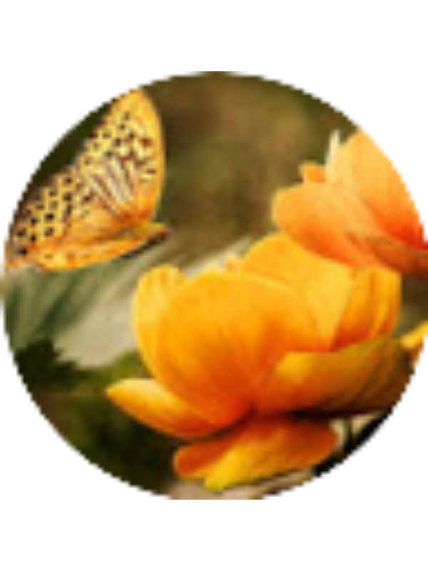 Photo of Silvia Zanatta