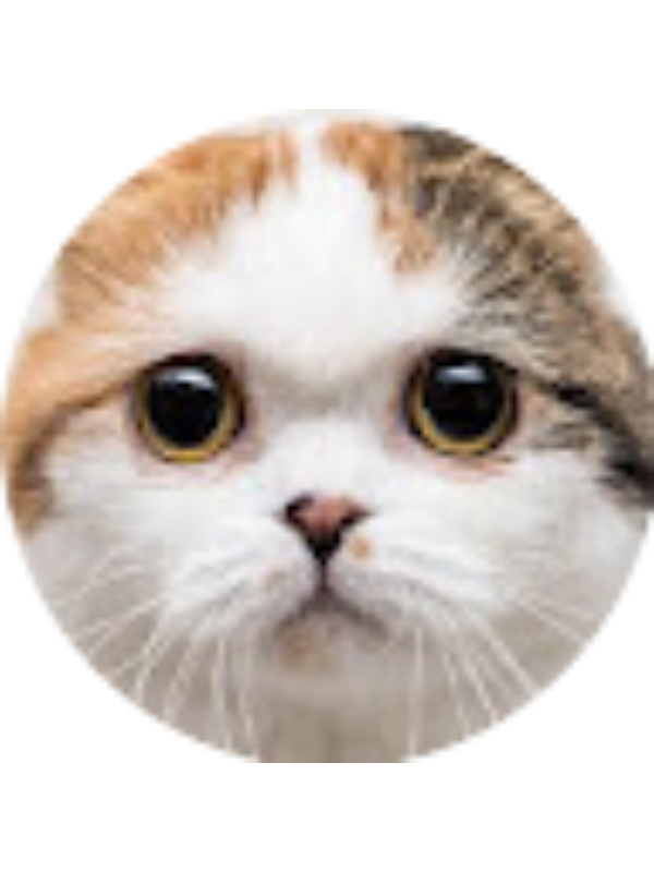 Photo of Maria Galvão