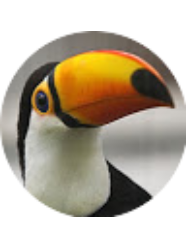 Photo of Noah Castle