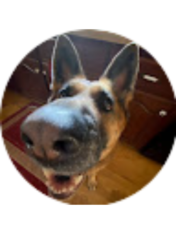 Photo of MILEY QUIST