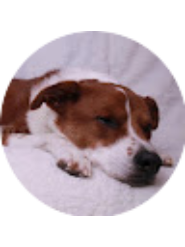 Photo of Luke Cottengim