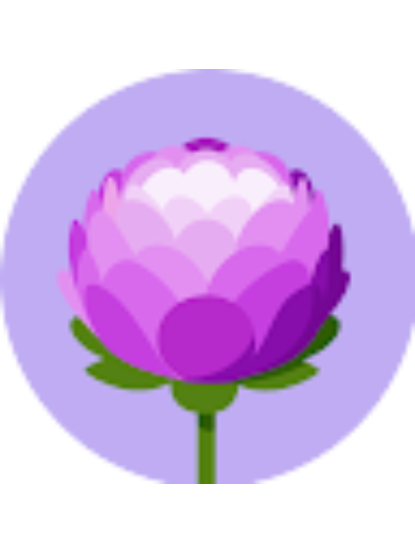 Photo of Aleena Narula _ Student - JeffreysGrove