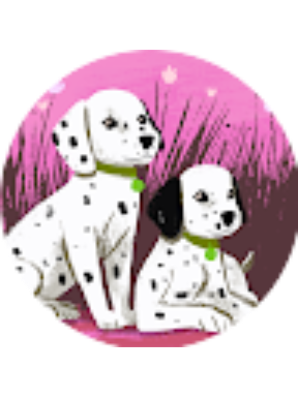 Photo of Xrusa Gatzioufa