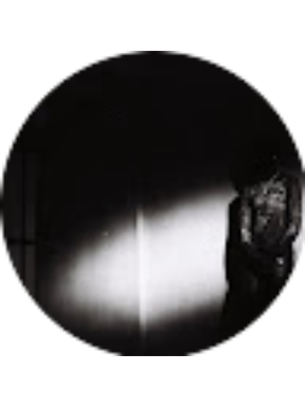 Photo of Vivienne Williams