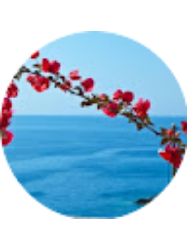 Photo of &Mu;&Alpha;&Rho;&Iota;&Alpha; &Delta;&Epsilon;&Lambda;&Eta;&Sigma;&Tau;&Alpha;&Theta;&Eta;