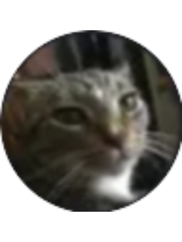 Photo of eliphilliprainey
