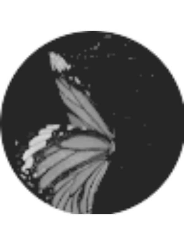 Photo of Mea Skinner