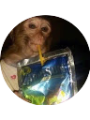 Picture of EMILY SCHERTZ