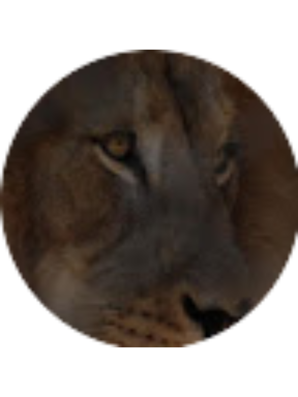 Photo of Vishnu Talada