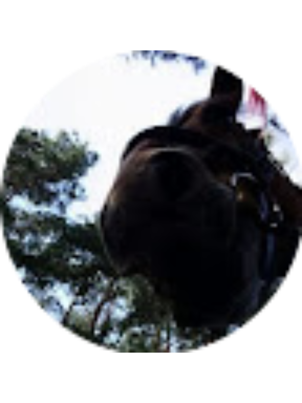 Photo of Julia Krupa