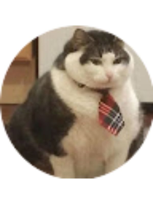 Photo of Angelo Coyla