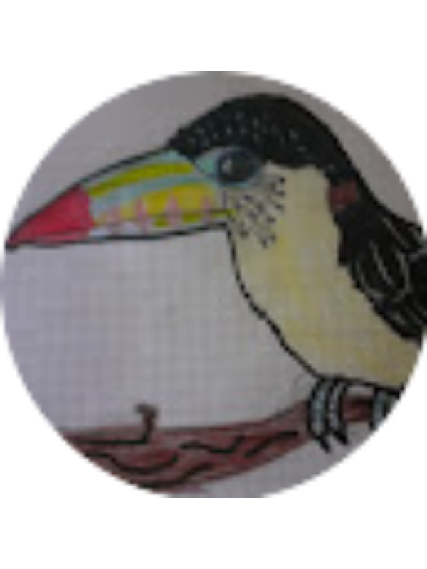 Photo of Gava Gil Gonzalez