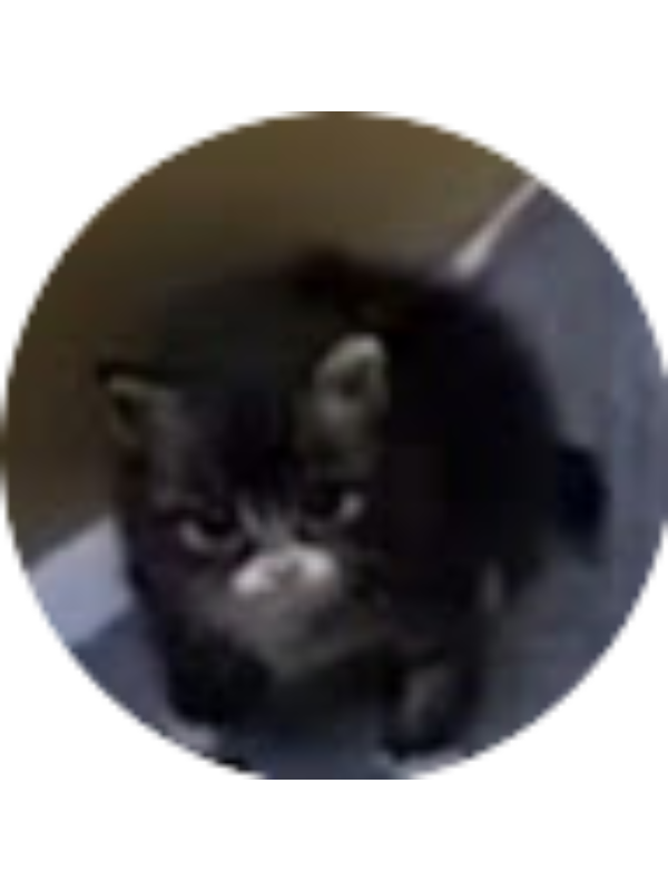 Photo of Damiana Palomo Hernandez