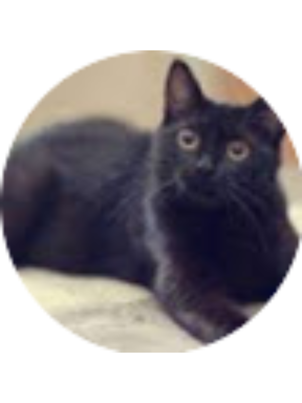 Photo of Jake Davidson (student)