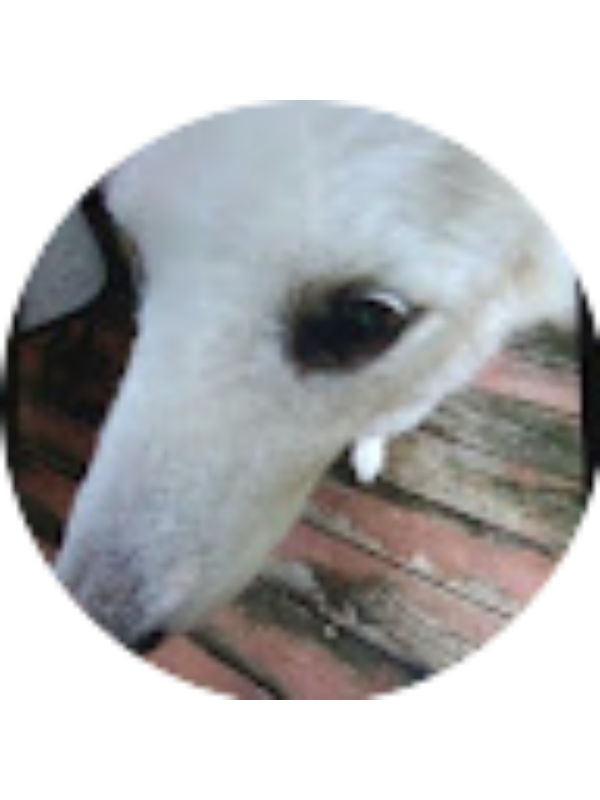 Photo of Ava Riggs