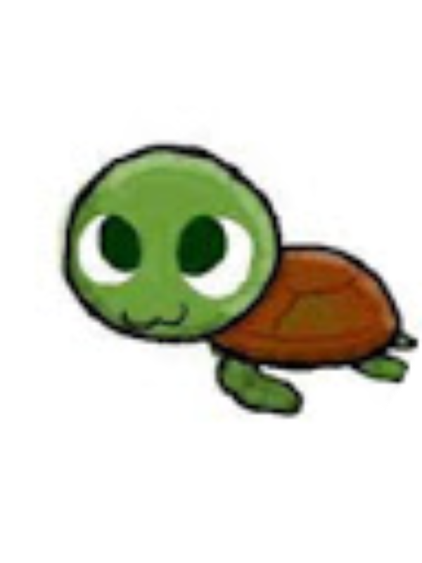 Photo of Kadin NOGAJ