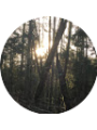 Picture of Riley Arlitt-Ross