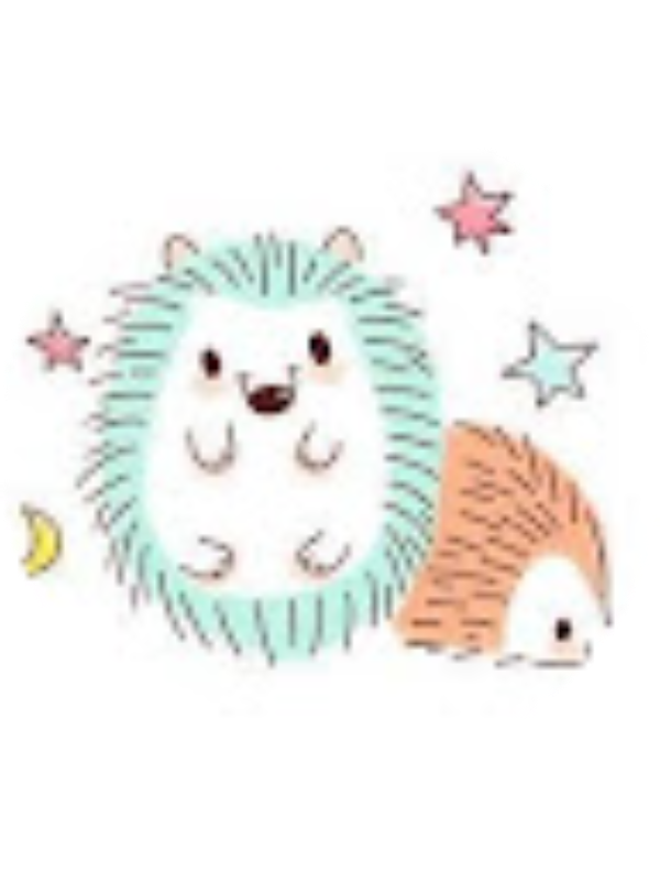 Photo of 蔡秉芸Sunny 可愛的小刺蝟