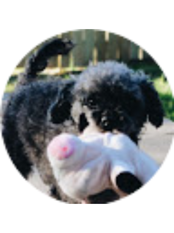 Photo of S/Harean Park