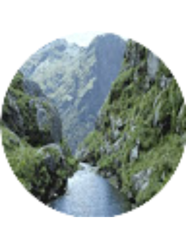 Photo of Iosif Daniilidis