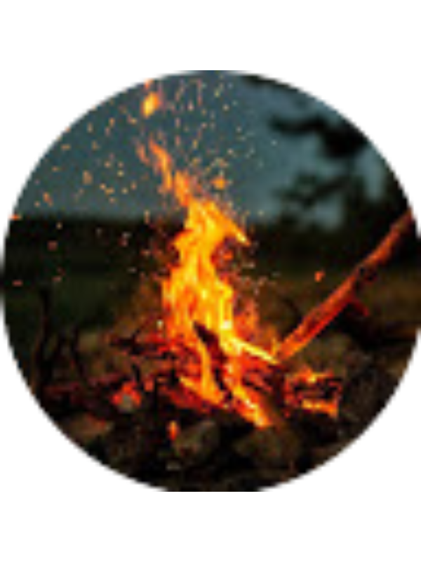 Photo of David Ardelean