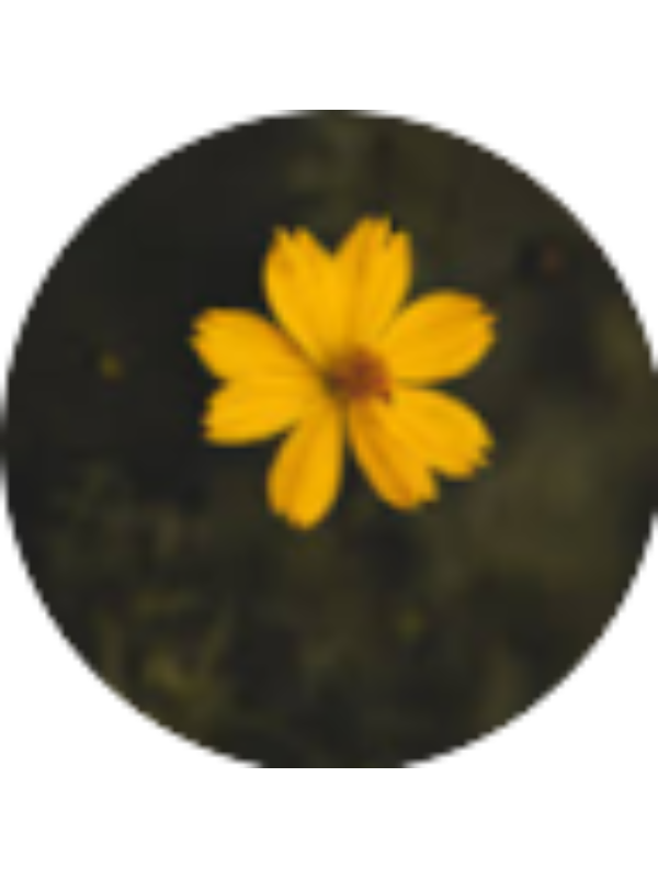 Photo of ABIGAIL ABLIN